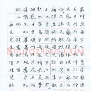 林楚昭 硬笔楷书作品《题画诗五首》图片欣赏
