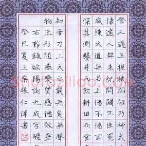 张仁伟 硬笔楷书作品《节录欧阳询九成宫》图片欣赏