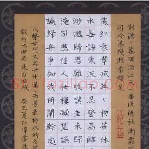 张仁伟 硬笔楷书作品《柳永词八声甘州》图片欣赏