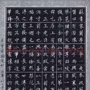 吴伟 硬笔楷书作品《米芾书论选抄》图片欣赏