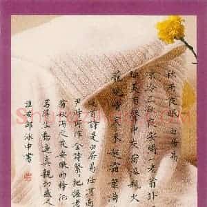 邵泳中 硬笔楷书作品《白居易诗秋雨夜眠》图片欣赏