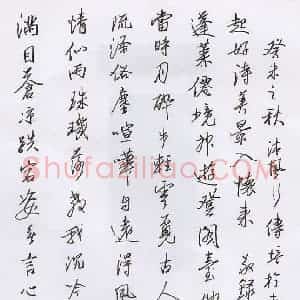 刘传培 硬笔行书作品《毛燕萍诗三首》图片欣赏