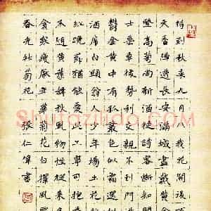 张仁伟 硬笔楷书作品《古诗选抄》图片欣赏