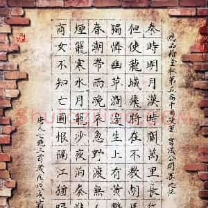 罗扬(成人组 优秀奖)硬笔书法大赛 获奖作品图片欣赏
