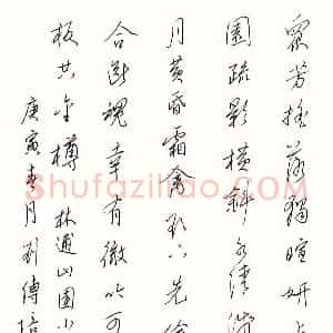 刘传培 硬笔行书作品《林逋诗山园小梅》图片欣赏