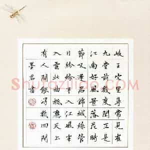 李维国(成人组 优秀奖)硬笔书法大赛 获奖作品图片欣赏