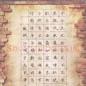杨志民 硬笔楷书作品《苏轼词江城子》图片欣赏