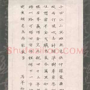 杨志民 硬笔楷书作品《辛弃疾词一首》图片欣赏