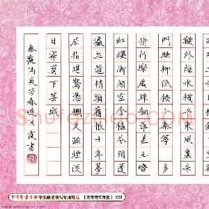 刘洪霞 硬笔楷书作品《秦观词满庭芳春游》图片欣赏