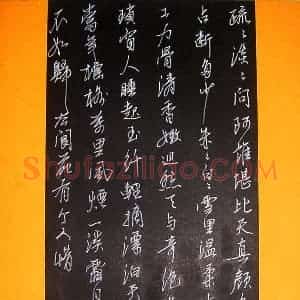张宏魁 硬笔行书作品《疏疏淡淡》图片欣赏