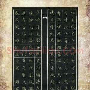 赖丽丽 硬笔楷书作品《毛泽东词一首》图片欣赏