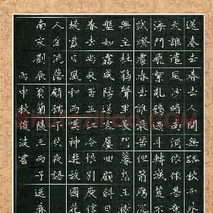 隋俊波(成人组 银奖)硬笔书法大赛 获奖作品图片欣赏