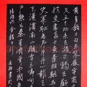 张宏魁 硬笔行书作品《陆游诗金错刀行》图片欣赏