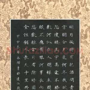 单永辉 硬笔楷书作品《苏轼词》图片欣赏