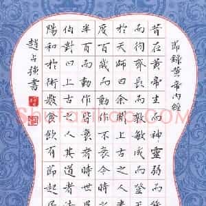 赵占强 硬笔楷书作品《节录黄帝内经》图片欣赏