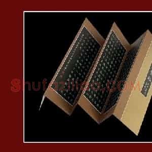 单永辉 硬笔楷书作品《苏东坡后赤壁赋》图片欣赏