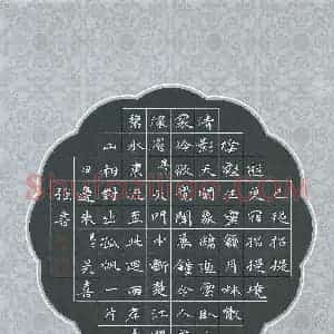 吴喜强 硬笔楷书作品《杜甫诗二首》图片欣赏