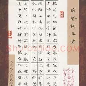 符式厂(成人组 优秀奖)硬笔书法大赛 获奖作品图片欣赏