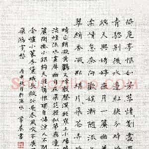 常晨(成人组 银奖)硬笔书法大赛 获奖作品图片欣赏