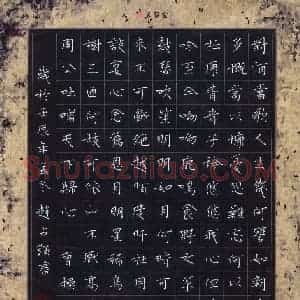 赵占强 硬笔楷书作品《曹操诗短歌行》图片欣赏