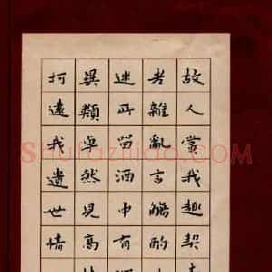 王永静 硬笔楷书作品《陶元亮诗》图片欣赏