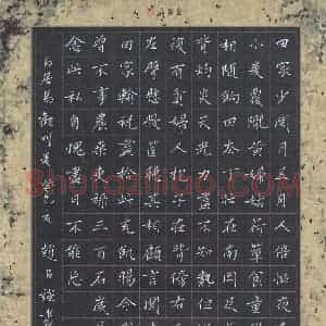赵占强 硬笔楷书作品《白居易诗观刈麦》图片欣赏