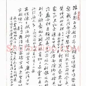 刘军 硬笔行书作品《临张大千书》图片欣赏