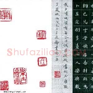 王永静 硬笔楷书作品《陶渊明诗》图片欣赏