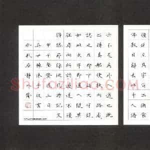 吴世栋 硬笔楷书作品《节录桃花源记》图片欣赏