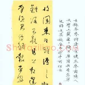 李炯峰 硬笔行草作品《岑参诗逢入京使》图片欣赏