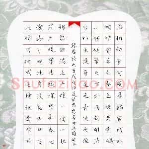 张思勇 硬笔楷书作品《唐诗两首》图片欣赏