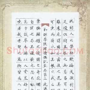 姚虎源 硬笔楷书作品《节录李渔闲情偶记》图片欣赏