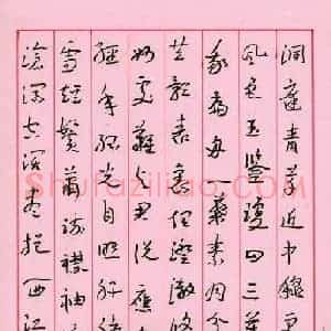 冯岽智 硬笔章草作品《唐诗宋词》图片欣赏