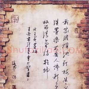 邵泳中 硬笔行书作品《王冕墨梅》图片欣赏