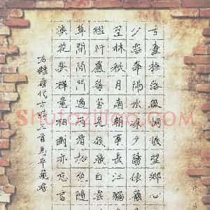 马平飞 硬笔楷书作品《唐代古诗三首》图片欣赏