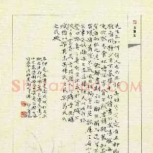 田智勇 硬笔楷书作品《五柳先生传》图片欣赏