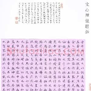 孙奇 硬笔楷书作品《文心雕龙选抄》图片欣赏