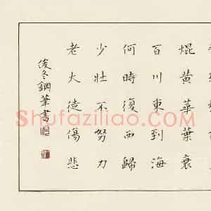 倪俊冬 硬笔楷书作品《汉乐府诗一首》图片欣赏
