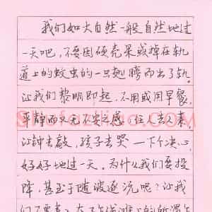 王小华 硬笔行书作品《散文选抄》图片欣赏