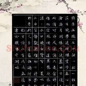 谢德胤 硬笔楷书作品《古诗二首》图片欣赏