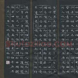 杨林舒(成人组 优秀奖)硬笔书法大赛 获奖作品图片欣赏