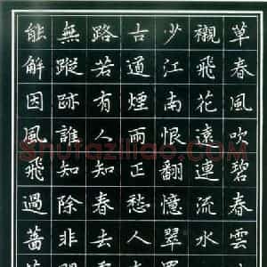 乔筱波 硬笔楷书作品《玉楼春一首》图片欣赏