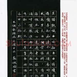 苏婉瑜(成人组 优秀奖)硬笔书法大赛 获奖作品图片欣赏