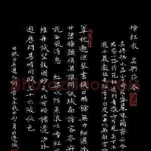 田智勇 硬笔楷书作品《姜夔词一首》图片欣赏