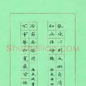宋维武 硬笔楷书作品《武侯祠联》图片欣赏