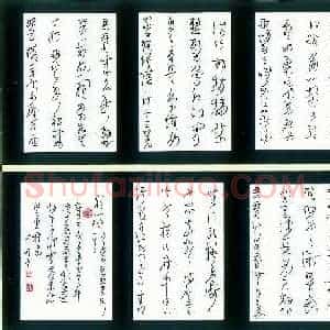 李中岭 硬笔草书作品《白居易琵琶行》图片欣赏