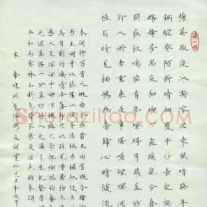 宋维武 硬笔楷书作品《秦观词望海潮》图片欣赏