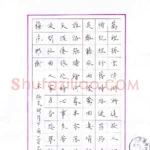 宋维武 硬笔楷书作品《张炎词月下笛》图片欣赏