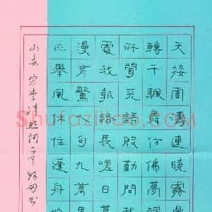 秦朋 硬笔隶书作品《李清照词一首》图片欣赏