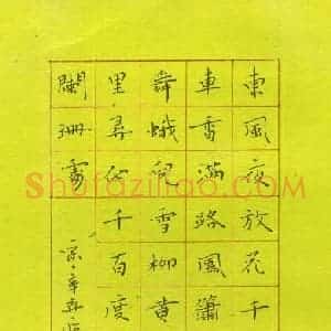 宋维武 硬笔楷书作品《辛弃疾词青玉案一首》图片欣赏
